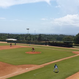 Presidente, Plantains, and Playing Ball
